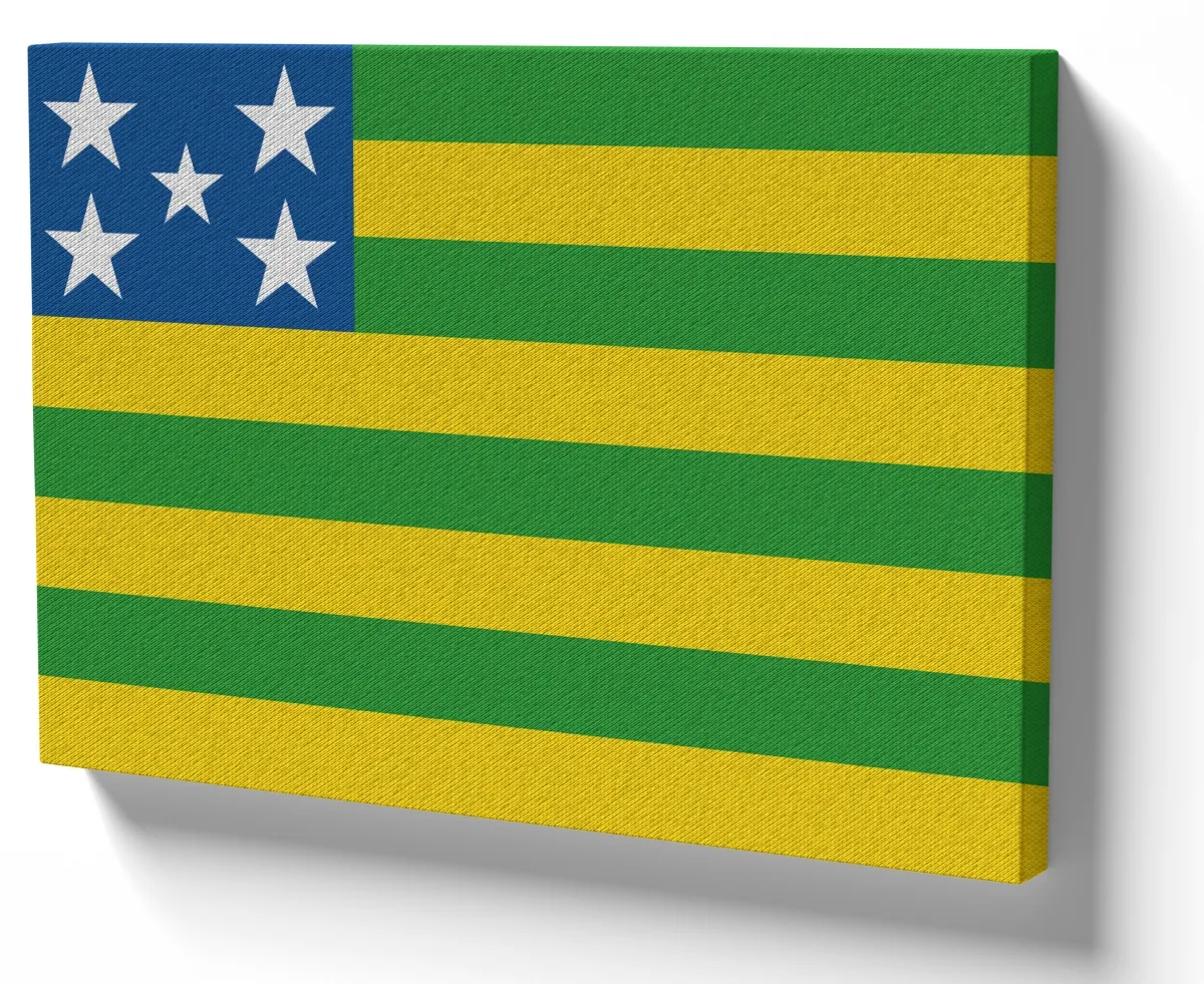Quadro decorativo tela bandeira Goiás