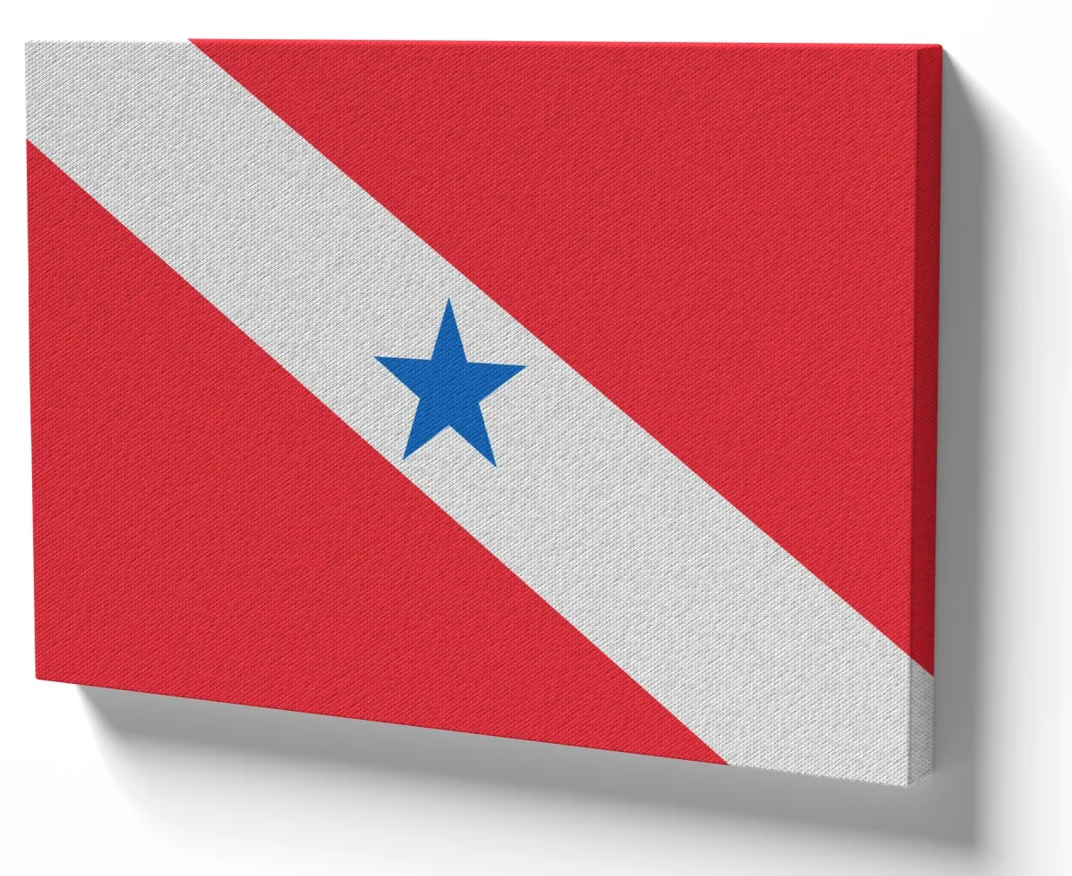 Quadro decorativo tela bandeira Pará