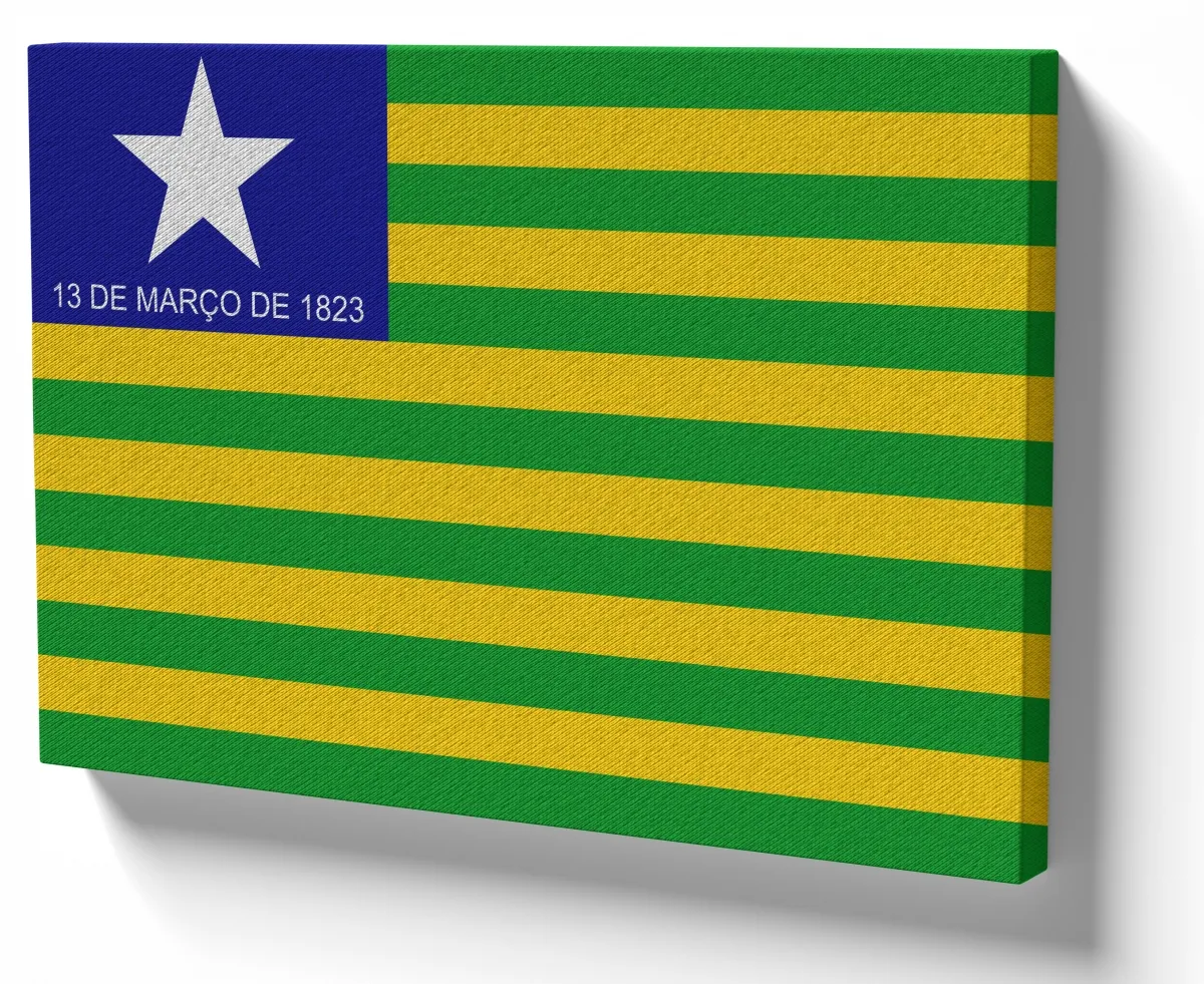Quadro decorativo tela bandeira Piauí