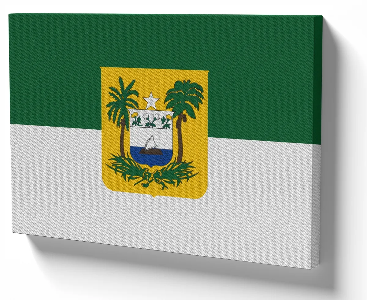 Quadro decorativo tela bandeira Rio grande do norte