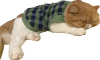 Roupa para Pet Gato Cachorro Material Tricô Super Macio Quentinho Resistente e Lindo 