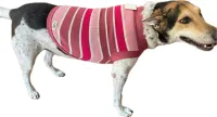Roupa para Pet Gato Cachorro Material Tricô Super Macio Quentinho Resistente e Lindo  - Foto 19
