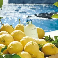 Perfume Dolce Gabbana Light Blue Pour Homme Masculino Eau de Toilette – 75 ml - Foto 6
