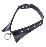 Coleira com Guia de Corrente - 8066 - Foto 2