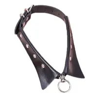 Coleira com Guia de Corrente - 8066 - Foto 3