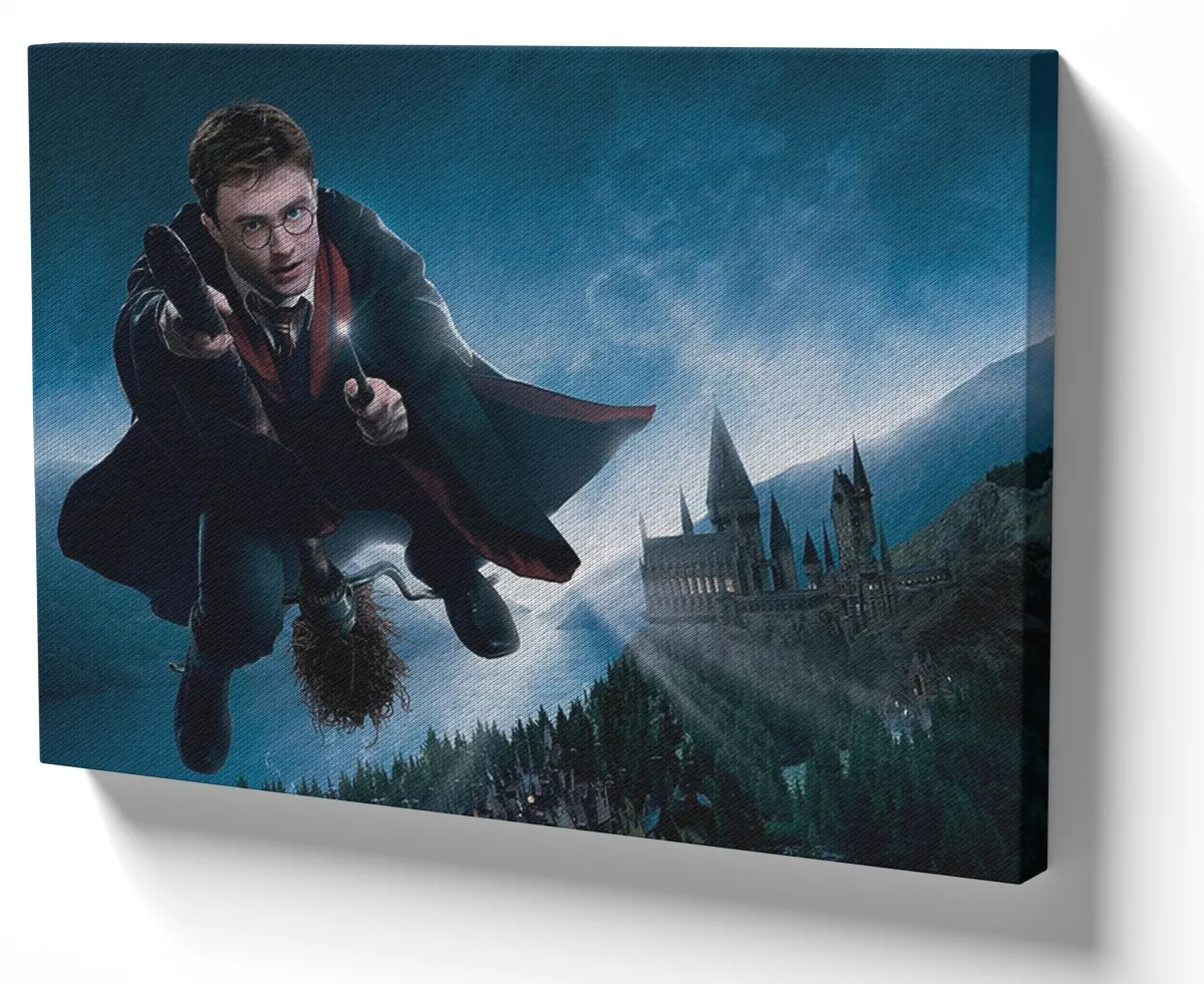 Quadro decorativo tela harry potter hogwarts voando