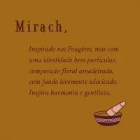 Perfume Oleoso Mirach - Foto 3