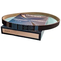 Correia Dentada 117 Dentes  DAYCO 117SP220HT - Foto 2