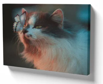 Quadro decorativo tela Gato Borboleta