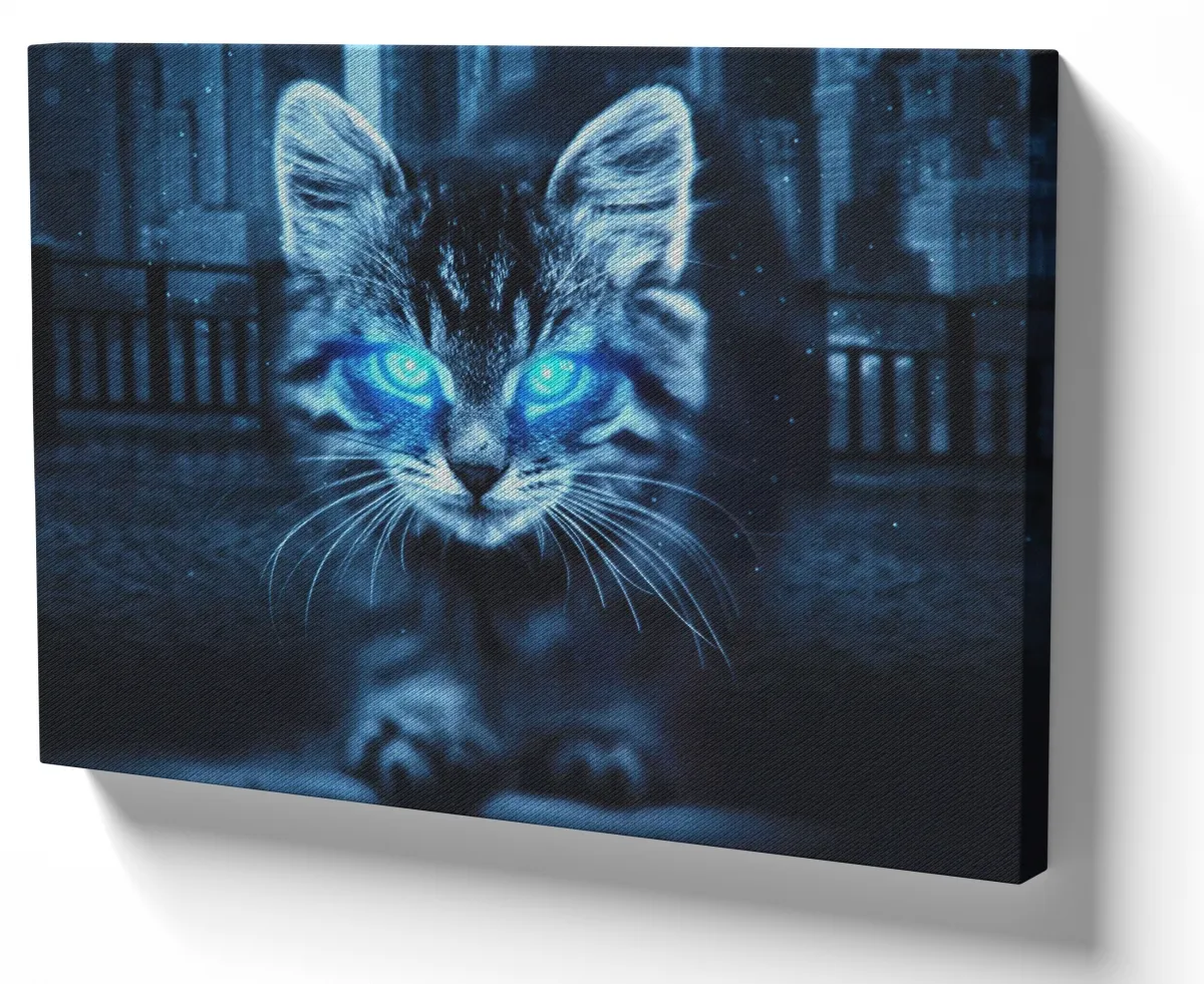 Quadro decorativo tela Gato olhos azuis Gatinho