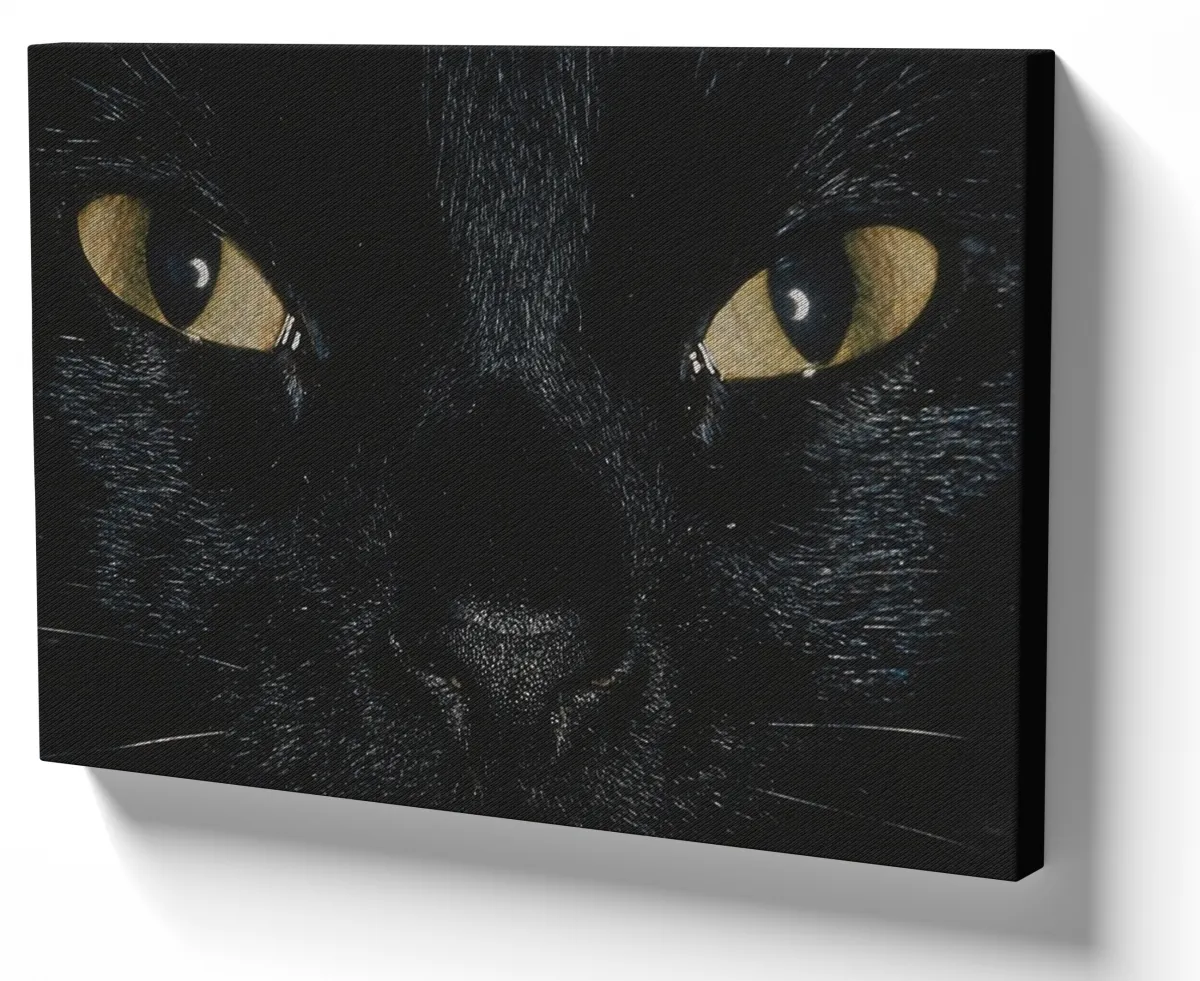 Quadro decorativo tela Gato preto face cat