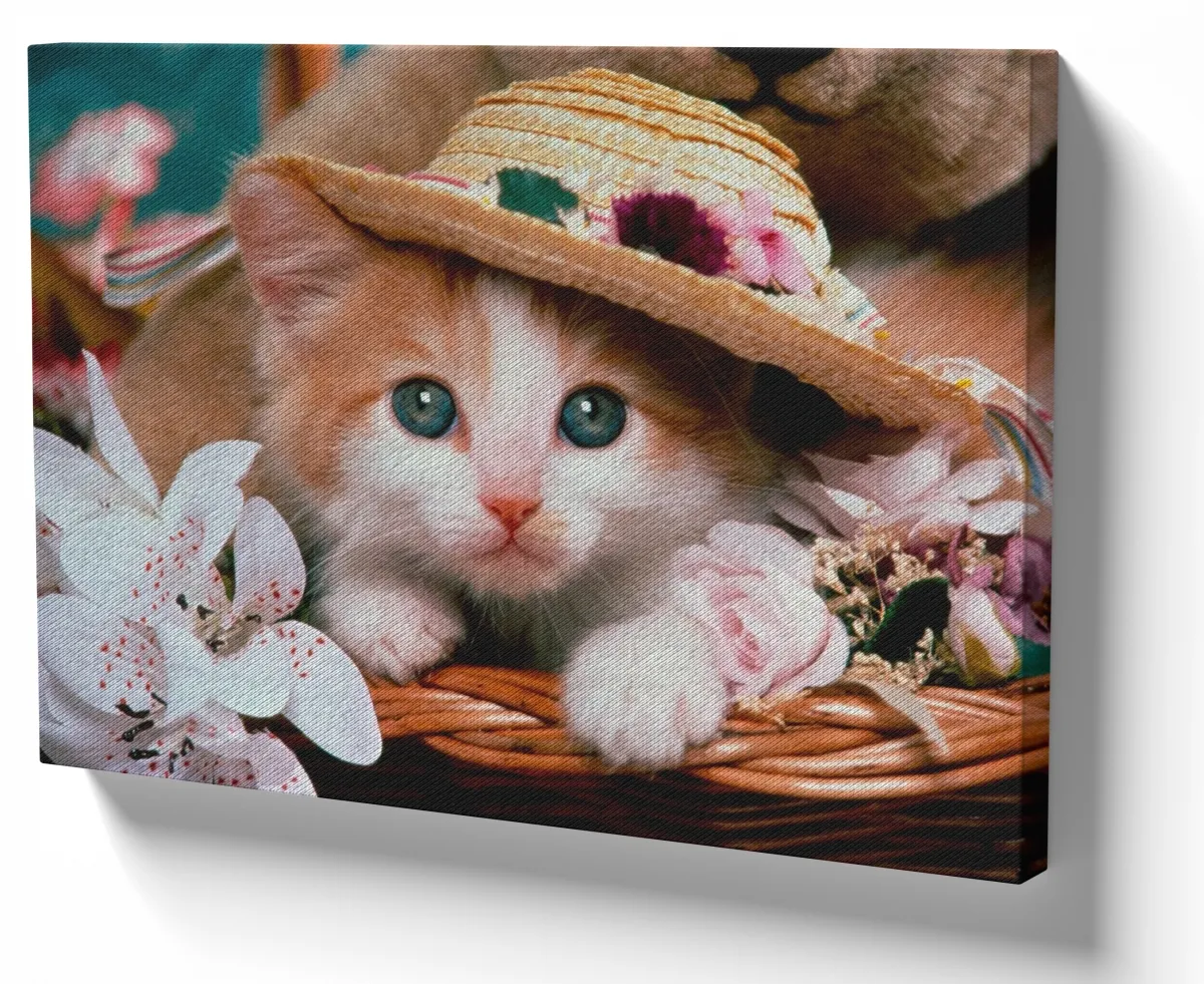 Quadro decorativo tela Gatos gato filhote cat Imagem