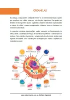 655 - Biologia - Citologia - Componentes Celulares - Organelas - 1º do Ensino Médio - PDF com 45 páginas - Foto 2