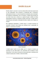 657 - Biologia - Citologia - Divisão Celular - Mitose e Meiose - 1º do Ensino Médio - PDF com 29 páginas - Foto 2