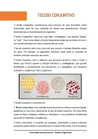 663 - Biologia - Histologia - Tecido Conjuntivo - 1º ano do Ensino Médio - PDF com 31 páginas - Foto 2