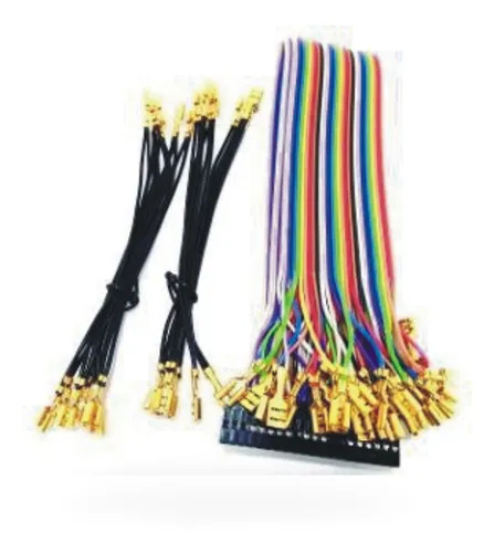 Chicote GPIO para 2 Jogadores - Alta Qualidade e Durabilidade , Compatível com Raspberry e Projetos DIY  Imagem