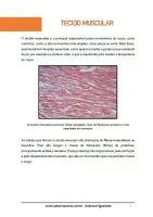 664 - Biologia - Histologia - Tecido Muscular - 1º ano do Ensino Médio - PDF com 22 páginas - Foto 2