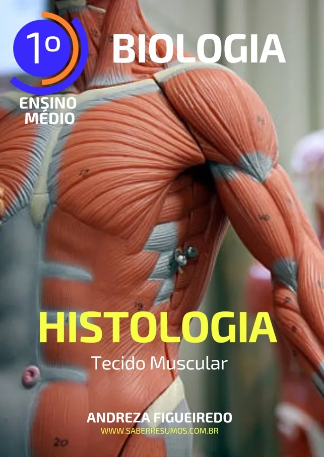 664 - Biologia - Histologia - Tecido Muscular - 1º ano do Ensino Médio - PDF com 22 páginas