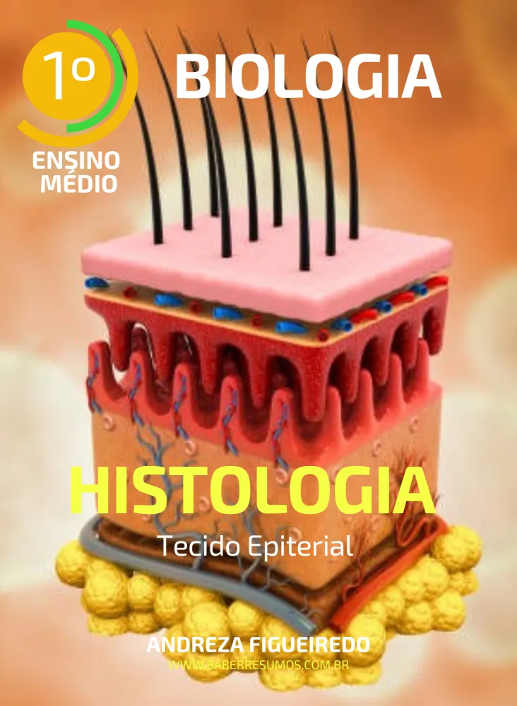 662 - Biologia - Histologia - Tecido Epitelial - 1º ano do Ensino Médio - PDF com 22 páginas Imagem