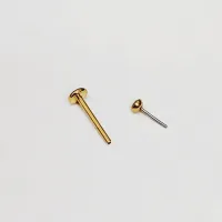 Labret  AÇO CIRÚRGICO PVD DOURADO 0.80mm com PEDRA 2mm ANATÕMICA PUSH PIN PVD11 - Foto 2