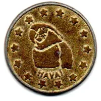 Ficha Havai Brasil 500