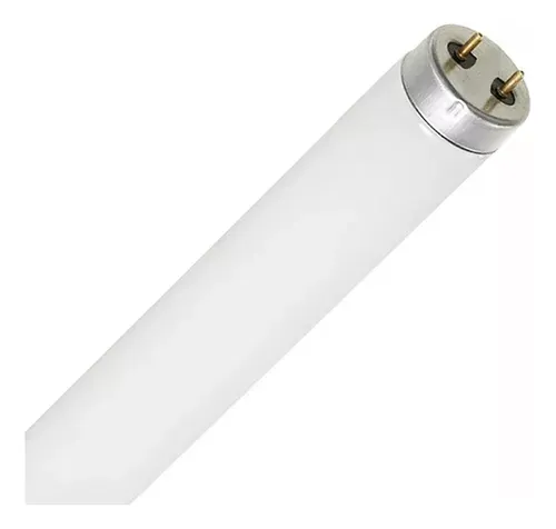 Lâmpada Fluorescente Tubular 40w 