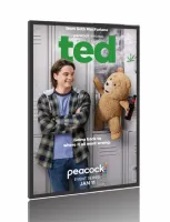 Quadro Poster Série Ted - A Série (2024)