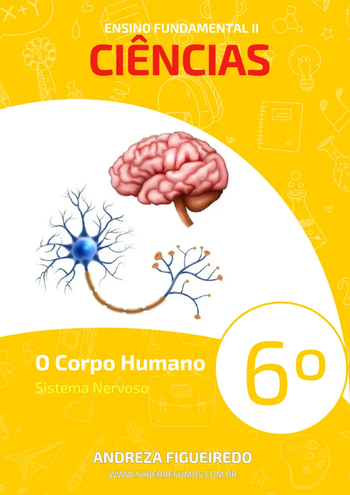 301 - Ciências - O Corpo Humano - Sistema Nervoso - 6º ano - PDF com 8 páginas Imagem