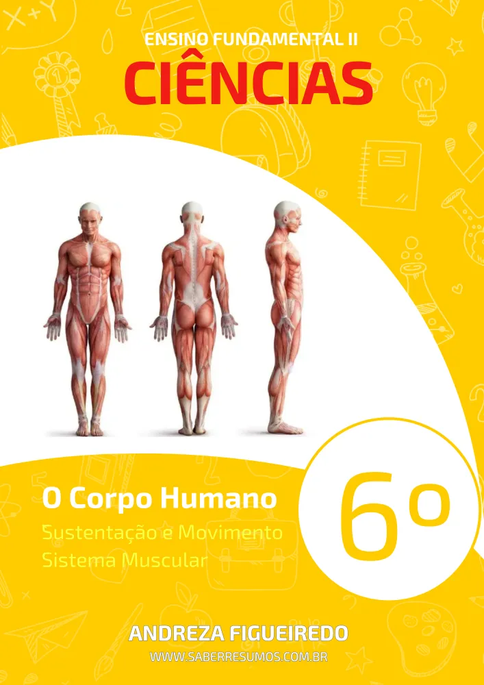 304 - Ciências - O Corpo Humano - Sustentação e Movimento - Sistema Muscular - 6º ano - PDF com 11 páginas Imagem