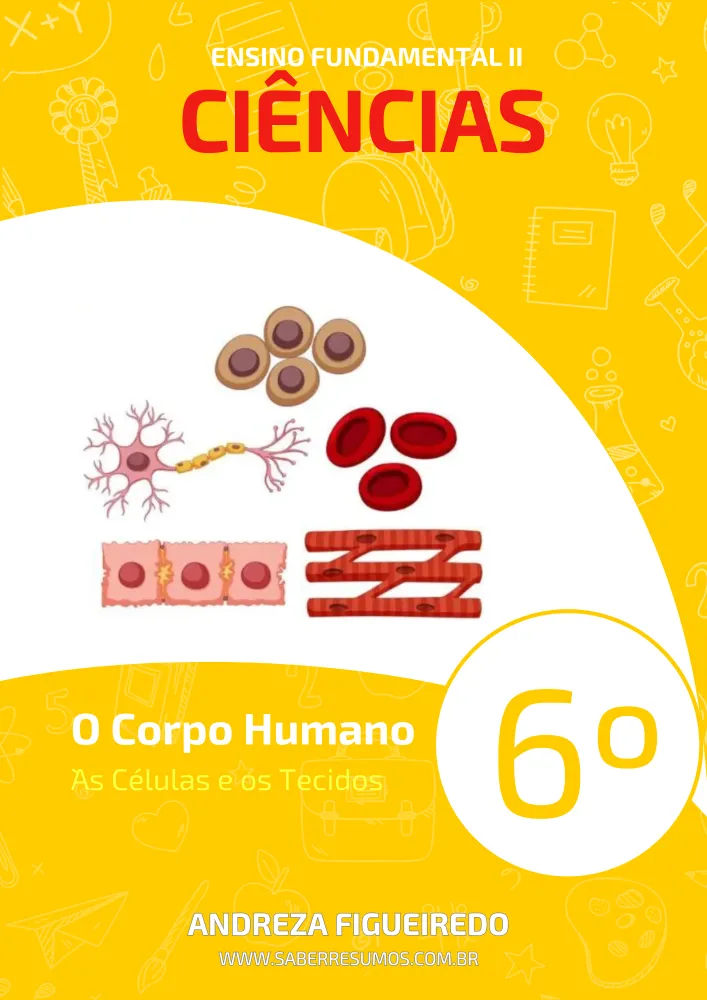 300 - Ciências - O Corpo Humano - As Células e os Tecidos - 6º ano - PDF com 7 páginas Imagem