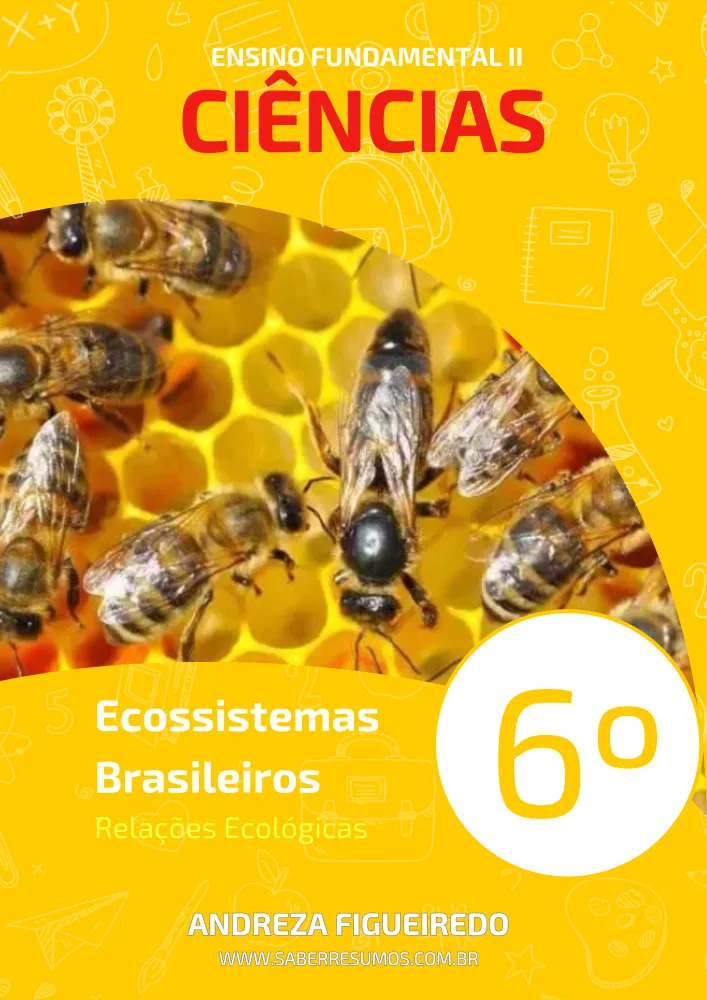 293 - Ciências - Ecossistemas Brasileiros - Relações Ecológicas - 6º ano - PDF com 7 páginas Imagem