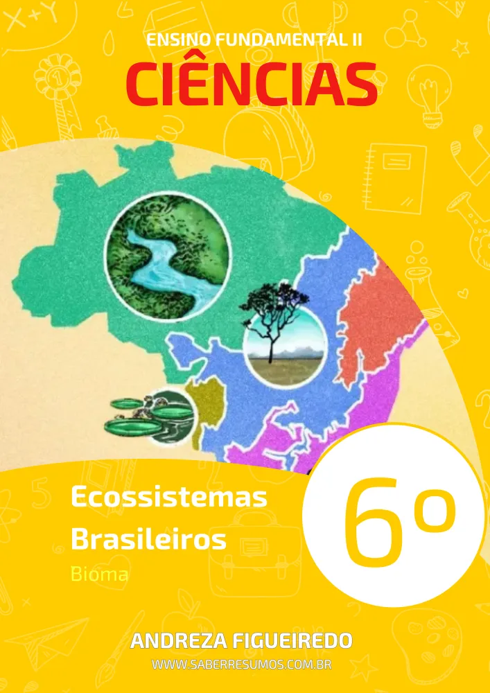 292 - Ciências - Ecossistemas Brasileiros - Bioma - 6º ano - PDF com 13 páginas Imagem