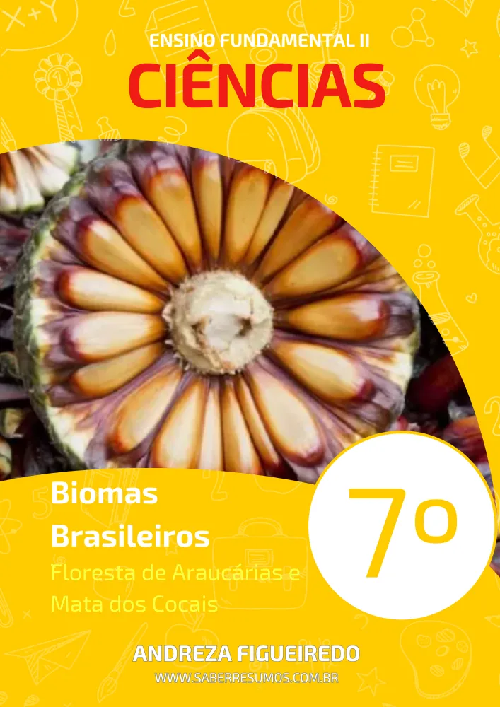 091 - Ciências - Biomas Brasileiros - Floresta de Araucárias e Mata dos Cocais - 7º ano - PDF com 10 páginas Imagem