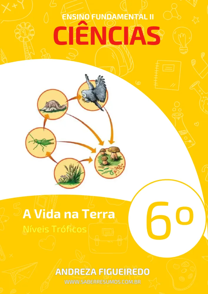 290 - Ciências - A Vida na Terra - Níveis Tróficos - 6º ano - PDF com 5 páginas Imagem