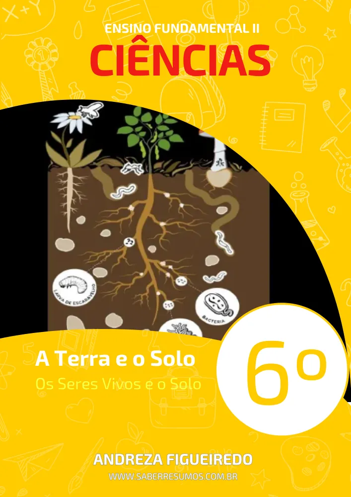 279 - Ciências - A Terra e o Solo - Os Seres Vivos e o Solo - 6º ano - PDF com 7 páginas Imagem