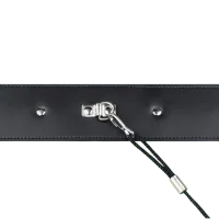 Coleira Com Guia - Foto 2