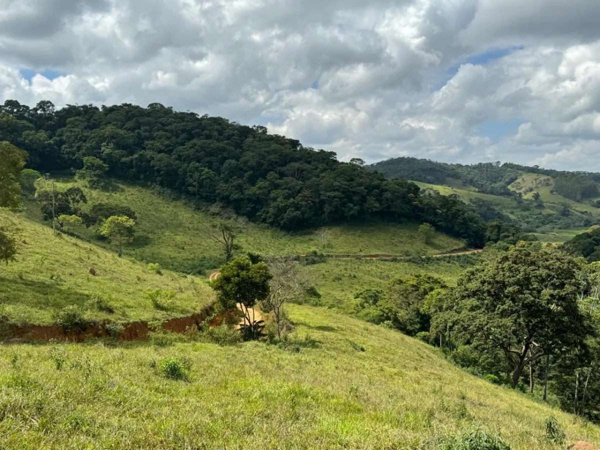 Vende-se Fazendinha na região de Santana dos Montes/MG.