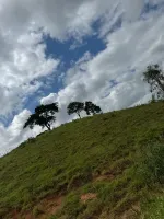Vende-se Fazendinha na região de Santana dos Montes/MG. - Foto 4