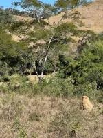 Vende-se Fazendinha na região de Santana dos Montes/MG. - Foto 5