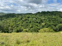 Vende-se Fazendinha na região de Santana dos Montes/MG. - Foto 7