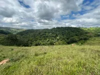 Vende-se Fazendinha na região de Santana dos Montes/MG. - Foto 11