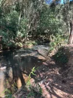 Vende-se Fazendinha na região de Santana dos Montes/MG. - Foto 12