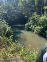 Vende-se Fazendinha na região de Santana dos Montes/MG. - Foto 14