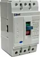 Disjuntor em Caixa Moldada Trifásico Jng Jm2-63L 50a 35Ka Novo 