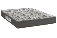 Colchão Queen Iso 100 D33