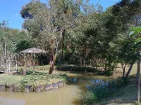 Vende-se uma chácara na comunidade de  Olaria - Foto 3