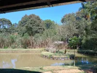 Vende-se uma chácara na comunidade de  Olaria - Foto 4