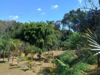 Vende-se uma chácara na comunidade de  Olaria - Foto 20