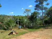 Vende-se uma chácara na comunidade de  Olaria - Foto 21