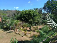 Vende-se uma chácara na comunidade de  Olaria - Foto 22